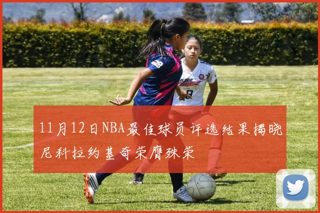 11月12日NBA最佳球员评选结果揭晓尼科拉约基奇荣膺殊荣