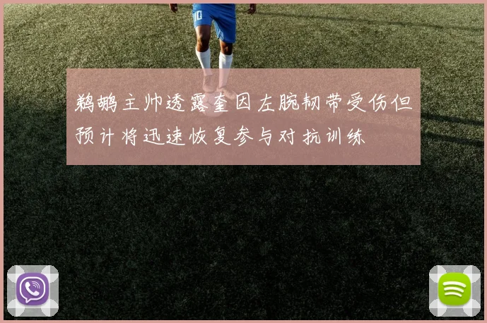 鹈鹕主帅透露奎因左腕韧带受伤但预计将迅速恢复参与对抗训练