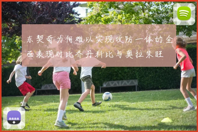 东契奇为何难以实现攻防一体的全面表现对比乔丹科比与奥拉朱旺