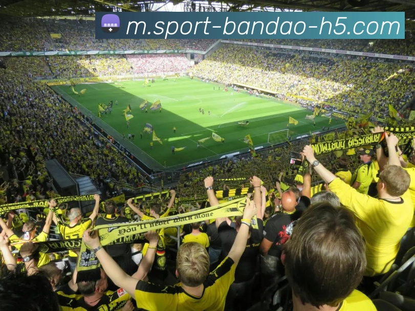 数据防护可视化